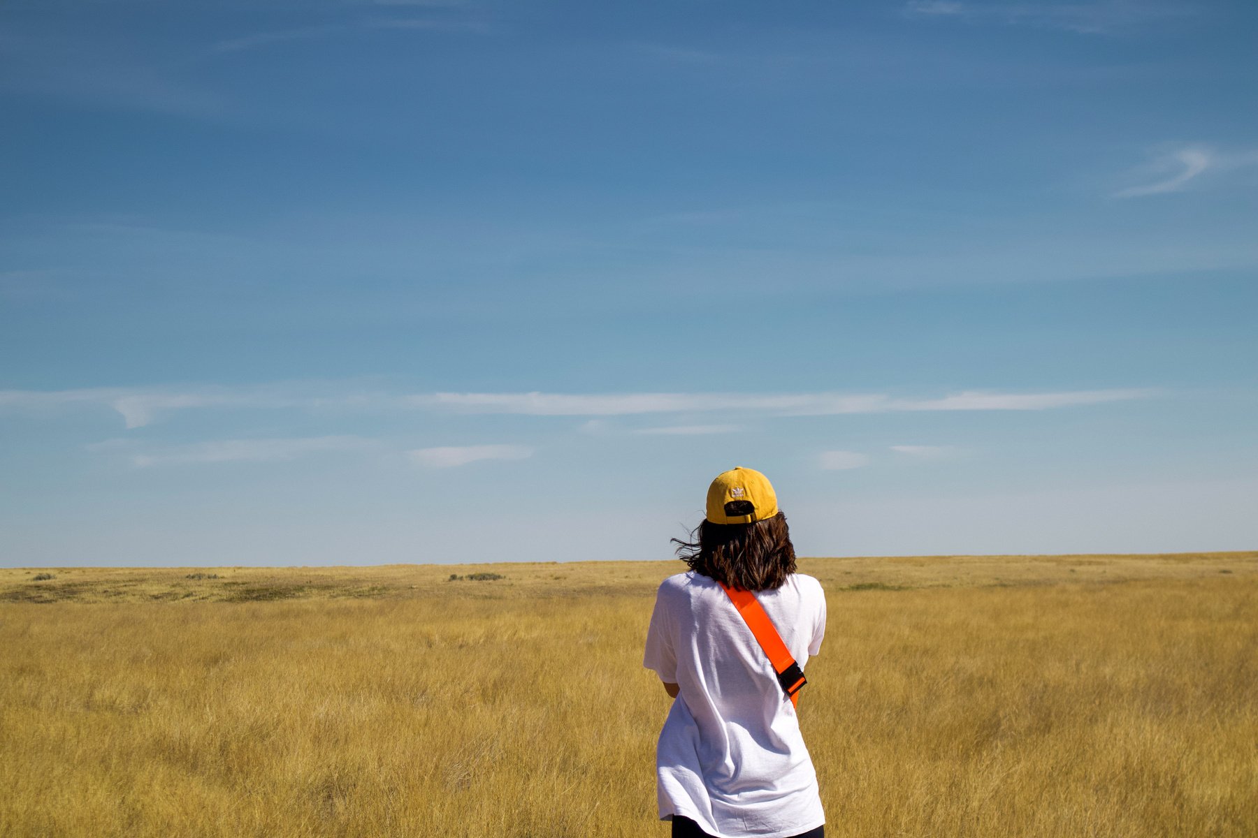 Back View of a Person Near a Grass Field